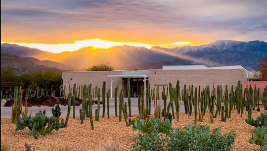 A Day In: Palm Springs